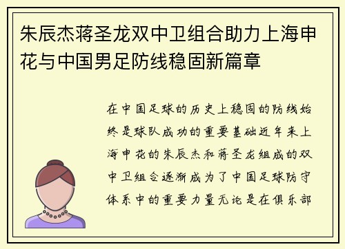 朱辰杰蒋圣龙双中卫组合助力上海申花与中国男足防线稳固新篇章